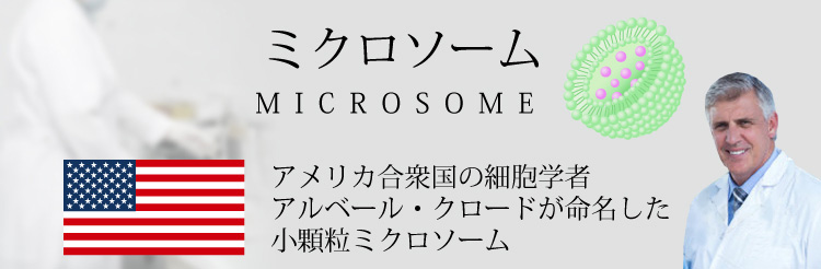 MICROSOMEミクロソームアメリカ合衆国の細胞学者アルベール・クロードが命名した小顆粒ミクロソーム